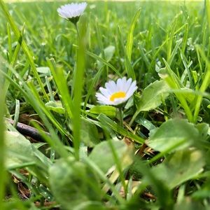 Meet your Posher, Hazel